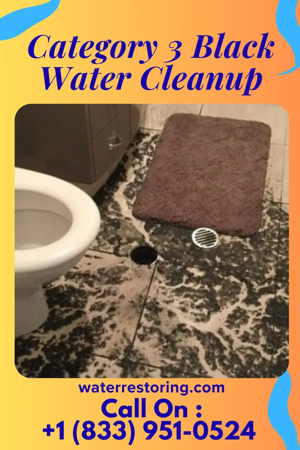 Category 3 Black Water Cleanup in Henry, IL