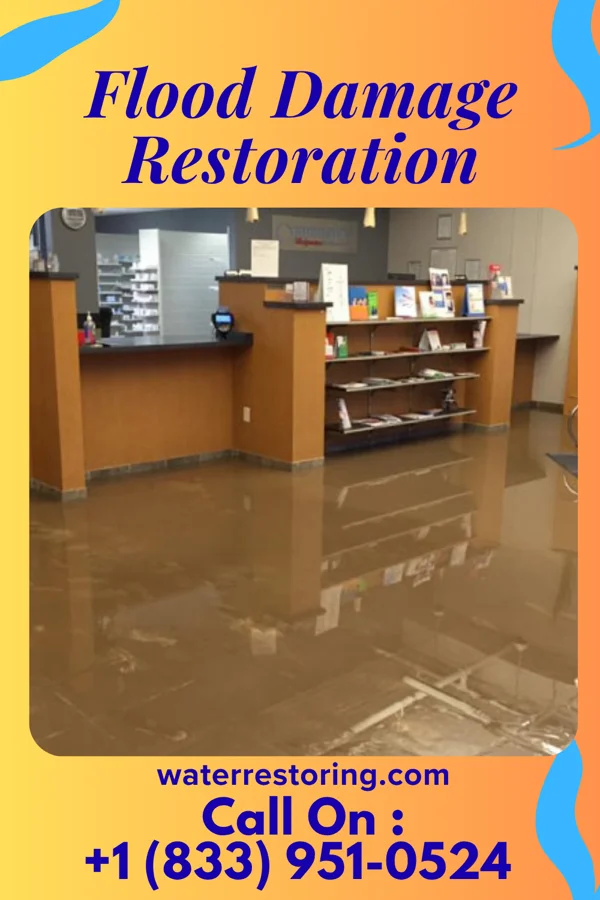 Flood Damage Restoration in Henry, IL